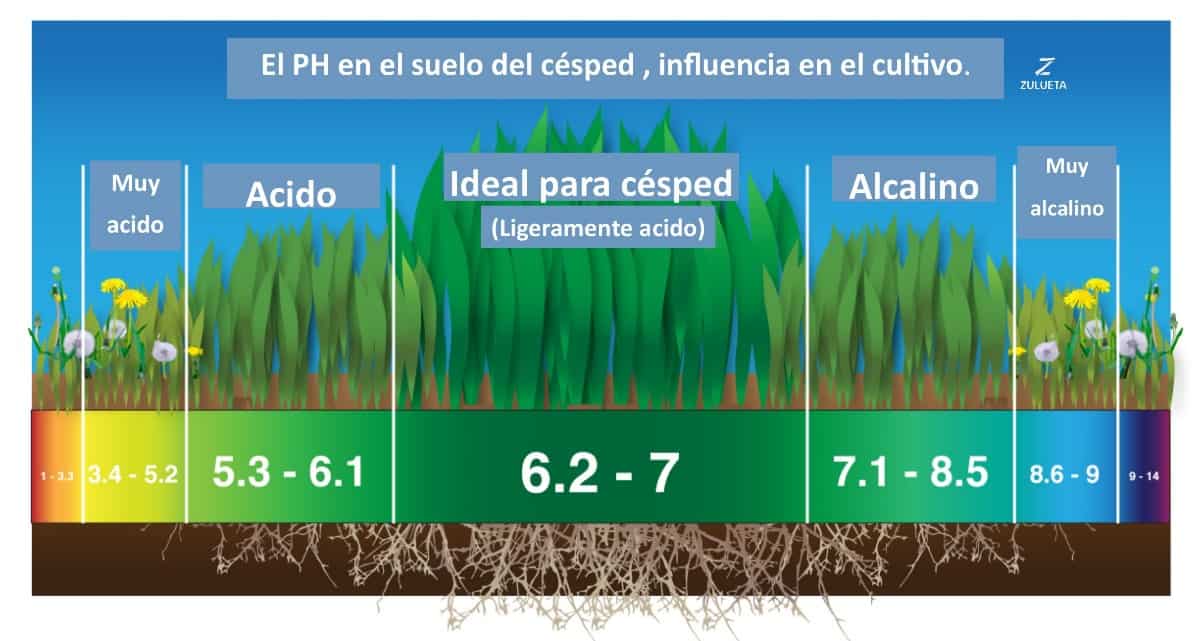 El ph acido y basico